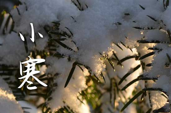 今天是小寒吗?2024年小寒时间几点几分几秒