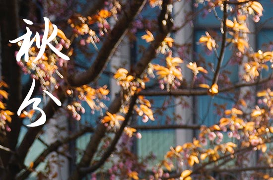 今天秋分的时间是几点几分2024 气象变化 今天秋分的时间是几点几分2024 气象变化