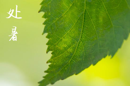 2024年处暑是哪天几月几号 2024年处暑是哪天几月几号