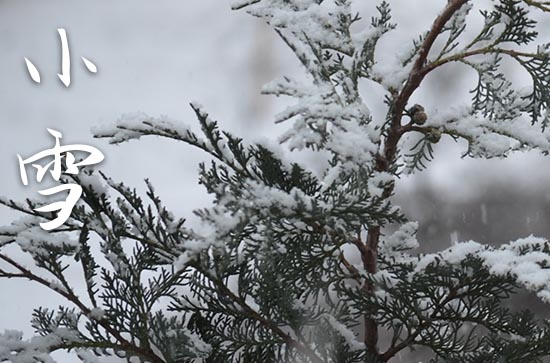 今日小雪,2023年小雪节气时间和特征