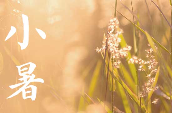 2024年小暑热还是大署热 小暑和大暑相差几天