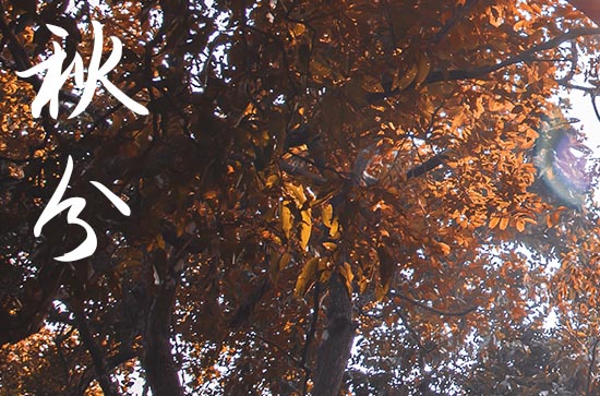 2024年农历几号秋分 2024年9月22日秋分这天会亲友好吗