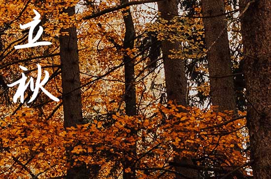 立秋之后白天为什么不热 立秋的注意事项