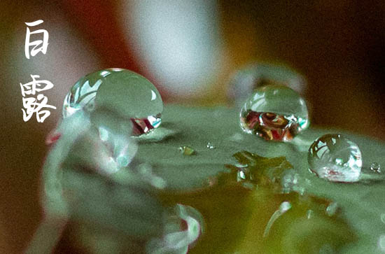 白露节气民俗 白露时节各地习俗 白露节气民俗 白露时节各地习俗