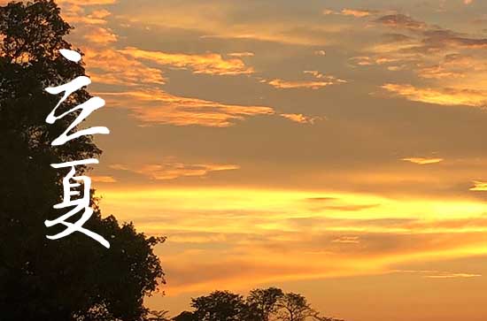 2024年今年立夏是几月几号 2024年5月5日立夏这天开池好不好 2024年今年立夏是几月几号 2024年5月5日立夏这天开池好不好