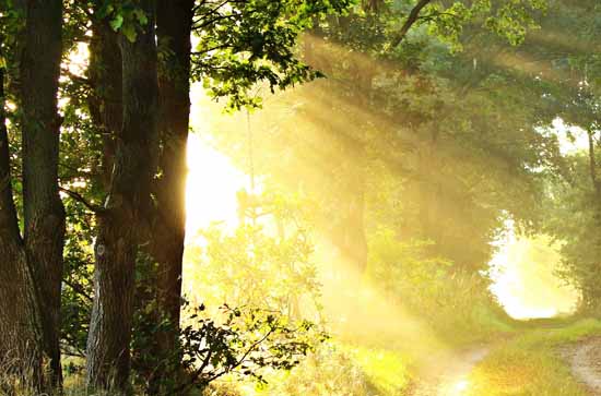天津8月11日天气预报:高温33℃~低温23℃，晴，不会下雨