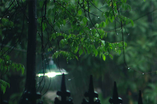 7月27日怒江会下雨 今日小雨温度33℃~24℃