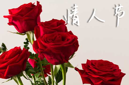 2025年网络情人节是结婚领证的黄道吉日吗 2025年5月20日网络情人节这天结婚领证好吗