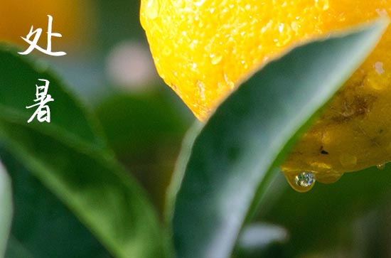 2024年处暑的时间是多少 处暑的三侯