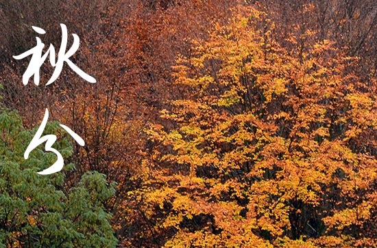 2024年秋分农历时间 2024年秋分适合办寿宴吗