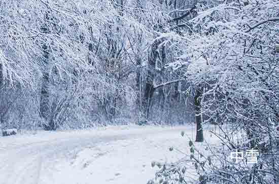 河南12月13日再迎大范围雨雪局地大暴雪 郑州未来三天天气预报