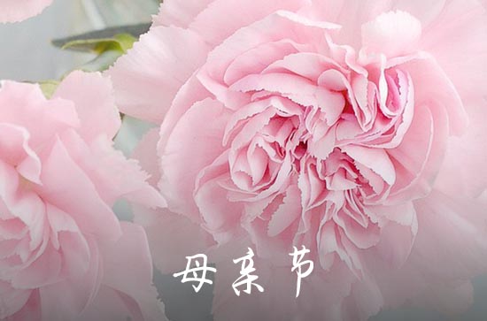 母亲节的祝福语怎么写 母亲节写给母亲的祝福语