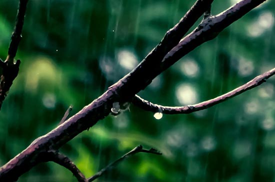 7月3日四平会下雨 今日小雨转多云温度25℃~19℃