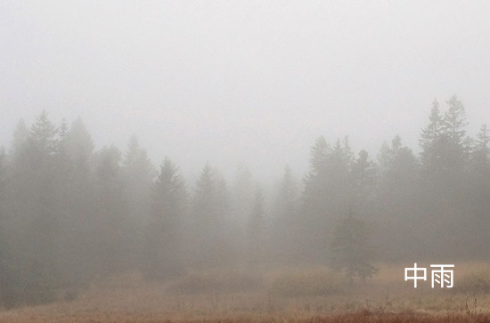 8月20日肇庆会下雨 今日中雨转阵雨温度31℃~26℃