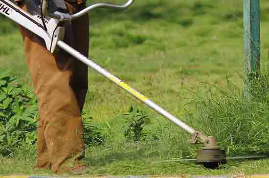 热爱劳动的简短句子