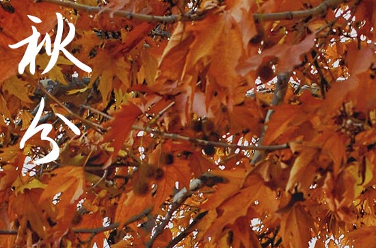 2024秋分是哪天 2024年9月22日秋分这天修门好不好