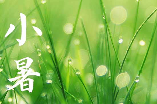 2024年小暑过后多久入伏