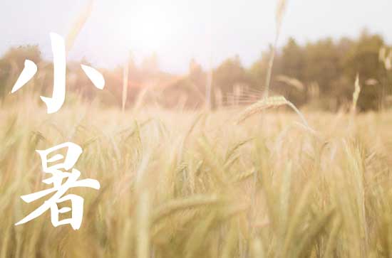 2024年小暑是不是入伏