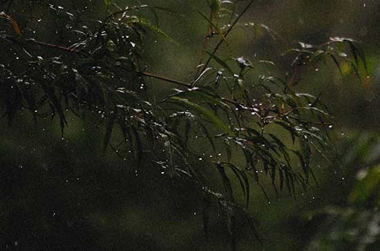 9月3日怒江会下雨 今日小雨转多云温度29℃~20℃