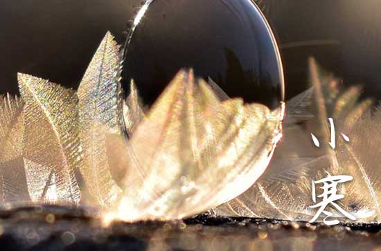 2025年小寒后面是什么节气