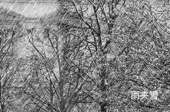 今天塔城天气好不好 2024年11月13日今日黄历