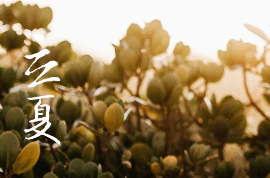 2023年杭州夏天几月份开始 夏天去杭州穿什么衣服