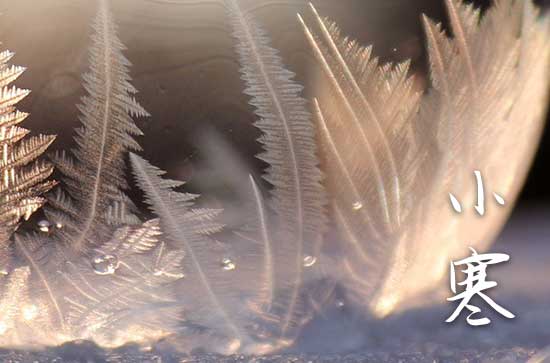 2025年1月6号小寒什么时 小寒三候