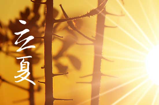 今日几时几分立夏2024 立夏物候