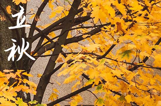 2024年立秋是哪天 是公立秋还是母立秋