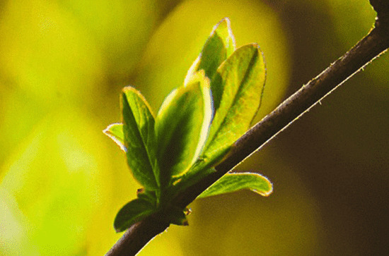 2024年安徽5月份热不热 安徽5月份天气怎么样