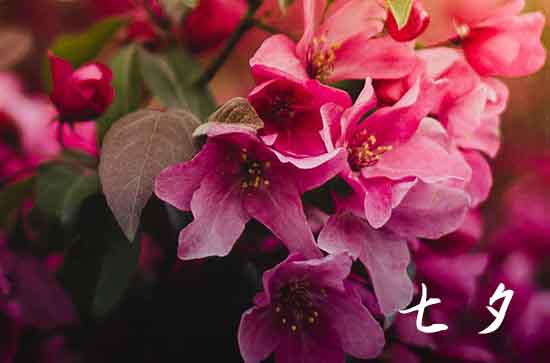 七夕节是什么节日 七夕节的传说故事