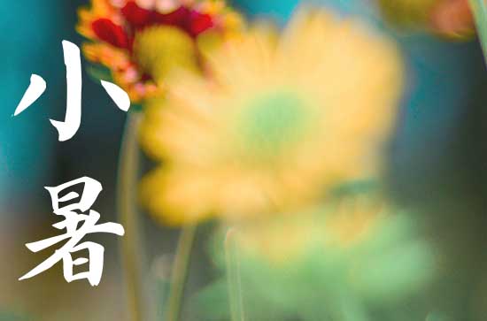 小暑三宝是什么