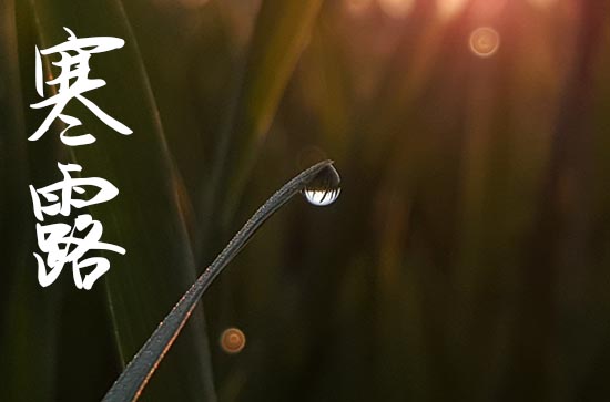 2024年几号寒露 寒露吃什么