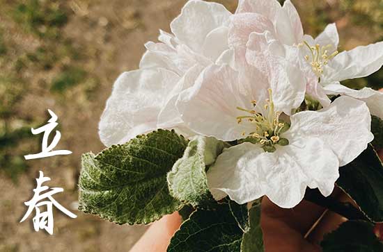 2024年立春是农历哪一天 立春的民俗