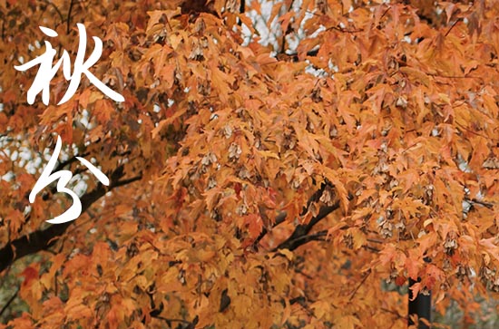 2024年有关秋分时节祝福句子 2024年有关秋分时节祝福句子