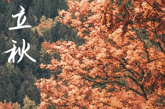 今年几分立秋，2023年立秋几时几分