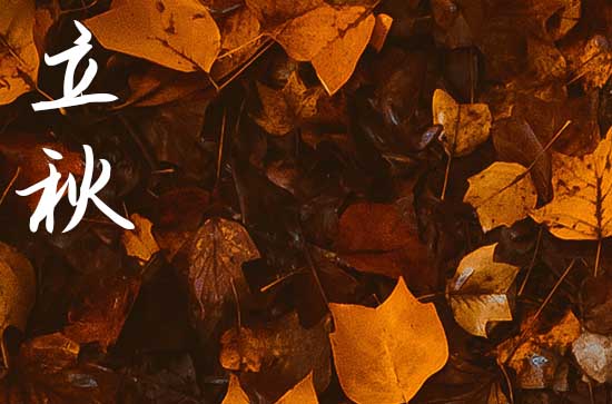 立秋之后白天蚊子多了吗 立秋的诗句