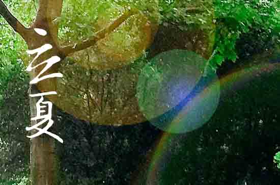 立夏是2024的几月几日 2024年立夏弄合脊好吗