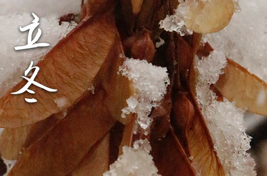 2024年立冬是几点几分几秒 2024年立冬是开工吉日吗 2024年立冬是几点几分几秒 2024年立冬是开工吉日吗