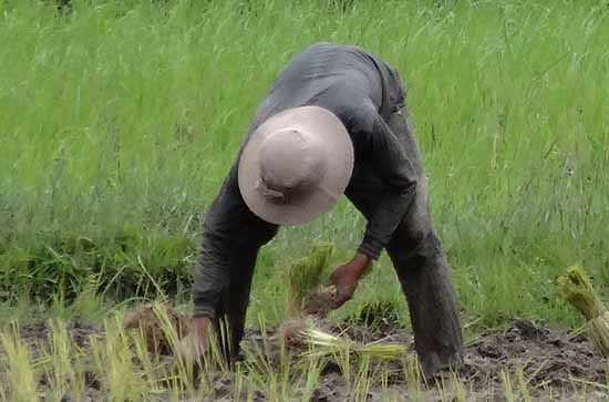 2023五一劳动节放几天假 2023劳动节是哪一天