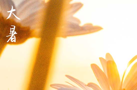 2024年大暑是哪一天几点几分