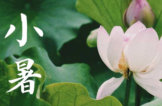 小暑节气不适合吃什么食物   小暑节气适合吃的食物