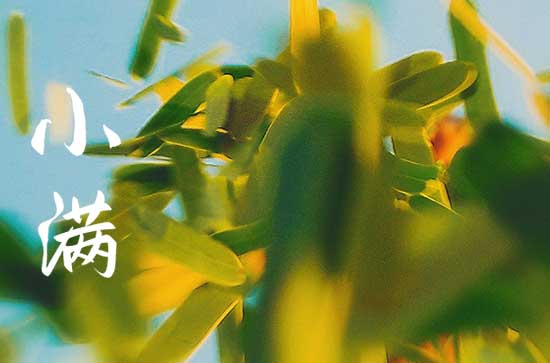 今年的小满是哪天2023