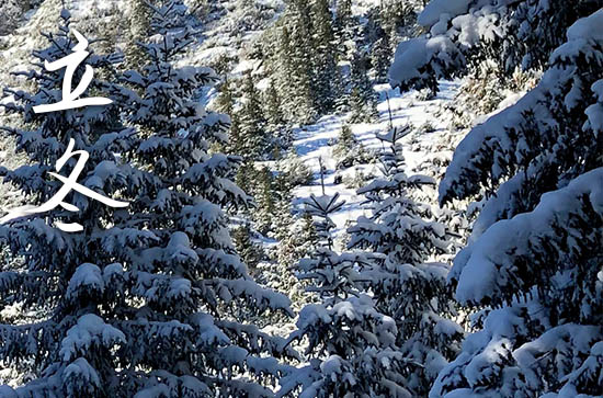 2024年今年立冬是几月几号 2024年立冬弄拆迁适合吗 2024年今年立冬是几月几号 2024年立冬弄拆迁适合吗