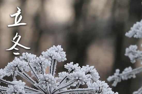 2024年立冬是几月几日 2024立冬那天结婚领证好不好