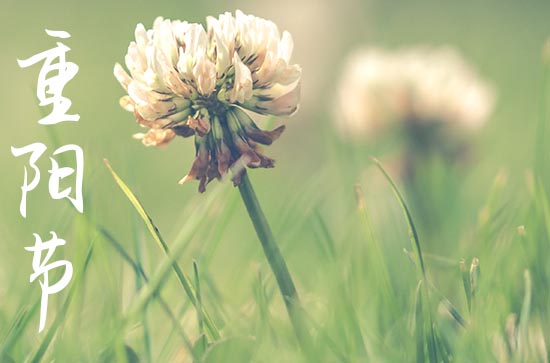 九月九日重阳节的来历和意义 九月九日是重阳节吗 九月九日重阳节的来历和意义 九月九日是重阳节吗