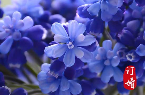 2024年12月份黄道吉日送聘礼 2024年12月哪天送聘礼寓意最好