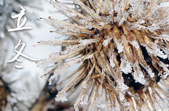 2023年立冬农历时间 2023年立冬作灶吉祥吗 2023年立冬农历时间 2023年立冬作灶吉祥吗