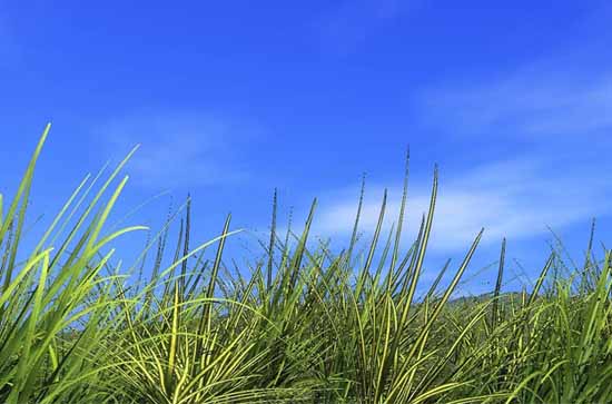 三门峡10月15日天气预报:高温28℃~低温13℃，晴转阴，不会下雨