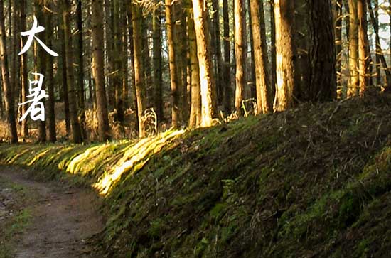 2024年大暑是几月几日 2024年大暑是几月几日